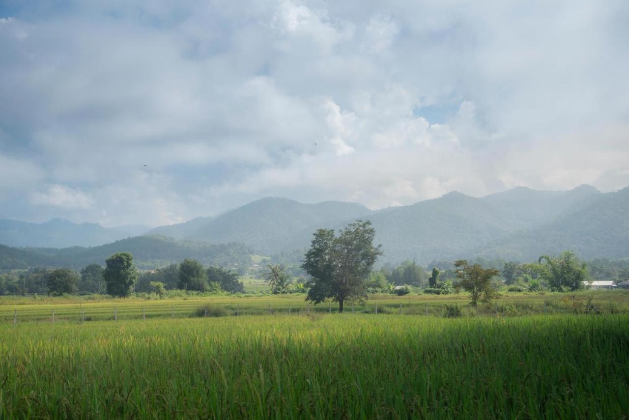 Camp View Mountain - Sell Experience By Paddy Fields Haven - Natures Nest Pai Exterior photo